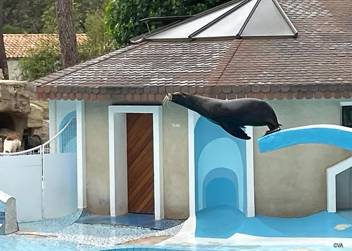 Mobilhome Close To The Pool - Cc110 Siblu Les Charmettes