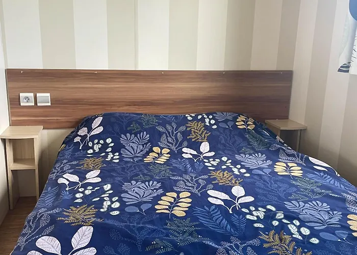 Mobilhome Close To The Pool - Cc110 Siblu Les Charmettes 펜션 *